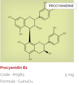 Extrasynthese Procyandin B1